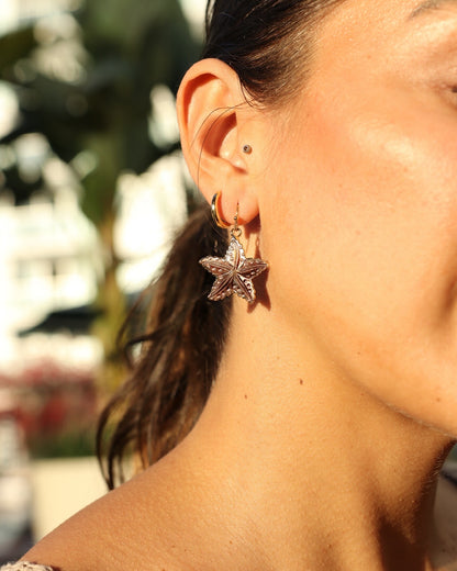 Carved Shell Starfish Earrings