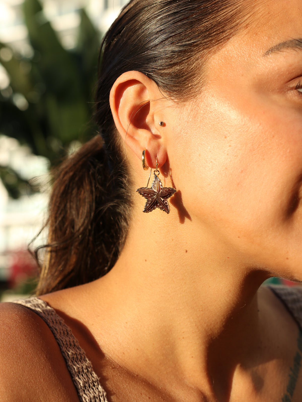 Carved Shell Starfish Earrings