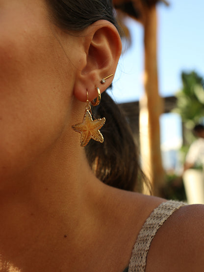 Carved Shell Starfish Earrings