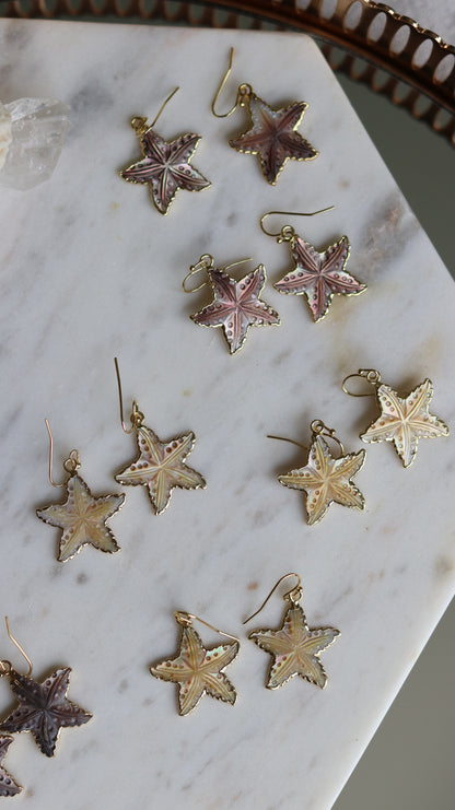 Carved Shell Starfish Earrings