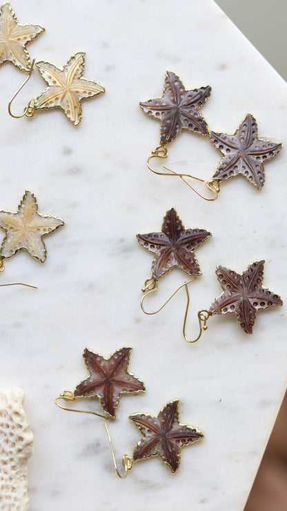 Carved Shell Starfish Earrings
